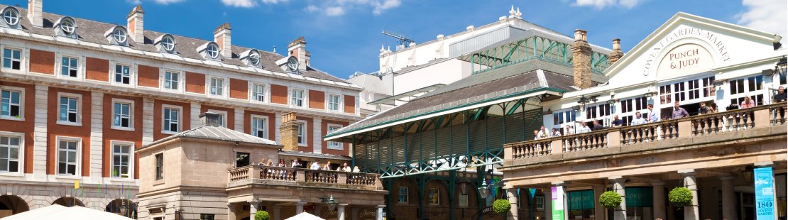 banner-image